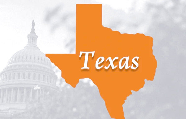 Comprehensive Guide to Starting a Pushcart Street Food Vendor Business in Texas, USA